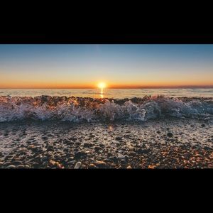 Meet your Posher, Renee